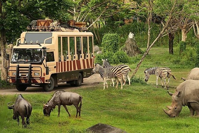 Vinpearl Safari - Phú Quốc